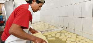 El suero es la sustancia acuosa que resulta de la coagulaci&oacute;n de la leche. Una buena cantidad se obtiene en la producci&oacute;n de los quesos.