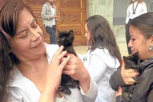 Decenas de ciudadanos llegaron al Concejo Cantonal para dar su apoyo a la aprobaci&oacute;n en primer debate del proyecto para la protecci&oacute;n de los animales. Foto: Rodrigo Matute/El Tel&eacute;grafo