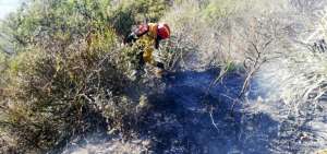 Personal del Cuerpo de Bomberos realiza labores de enfriamiento y liquidaci&oacute;n de puntos calientes en el cerro Casitagua.