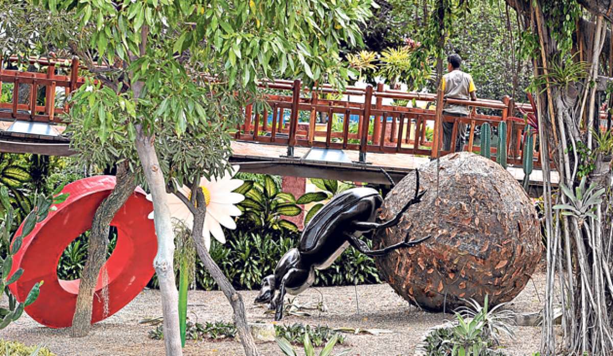 Foto: Miguel Castro / El Tel&eacute;grafo