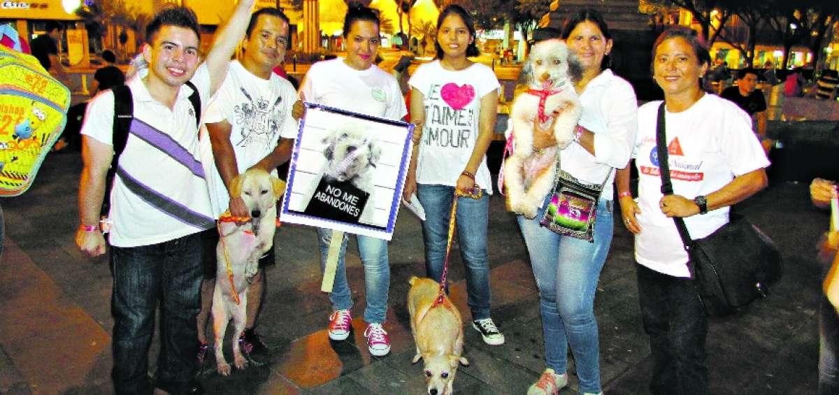 Activistas esperan que el pr&oacute;ximo gobierno apoye la causa animalista
