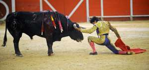 La tradici&oacute;n taurina se retrata en un documental