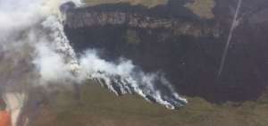 Imagen de las llamas en Cochauco.