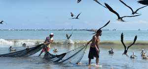 En la playa de Tarqui se puede observar a pescadores realizando su faena.