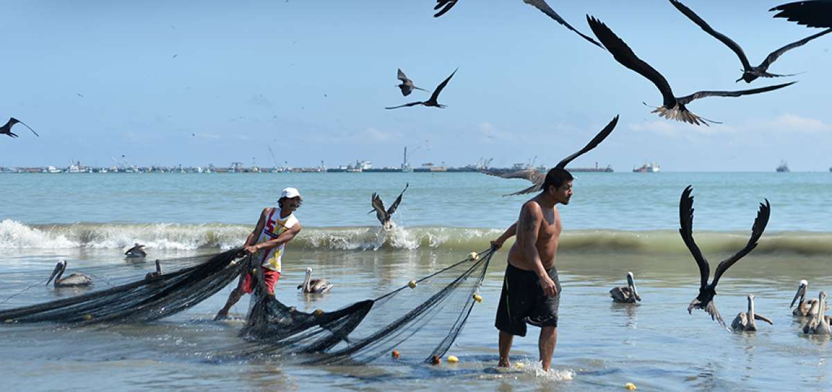 En la playa de Tarqui se puede observar a pescadores realizando su faena.