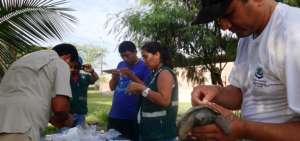 Ecuador y Per&uacute; comprueban estado de salud de 27 tortugas gal&aacute;pagos rescatadas en Piura
