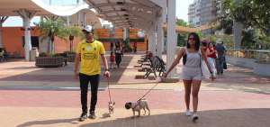 Luis Sisalima y Paulethe Gracia llevaron a sus mascotas Julieta y Luna. Los due&ntilde;os deben cumplir con 12 obligaciones para su ingreso.