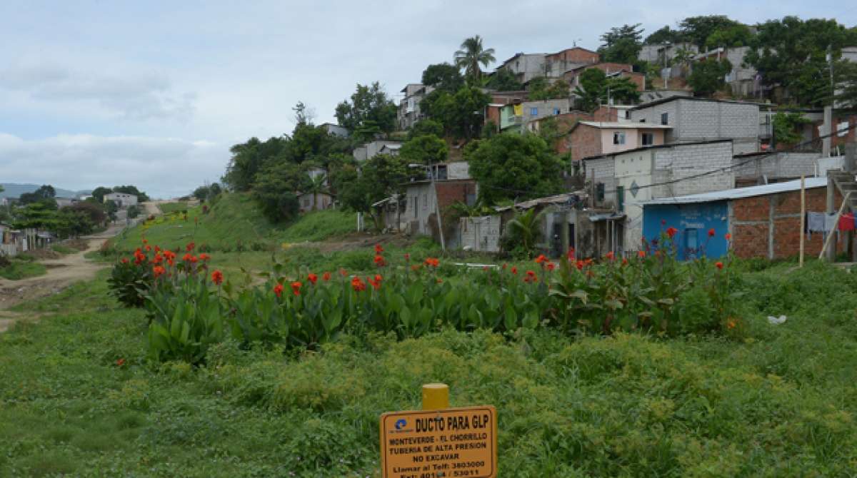 El jard&iacute;n tiene una extensi&oacute;n de 10 kil&oacute;metros y pasa por la ruta del gasoducto Monteverde-Pascuales. En el sector, uno de los m&aacute;s empobrecidos de la ciudad, predominan las viviendas de ca&ntilde;a y de madera. Foto: Jos&eacute; Mor&aacute;n