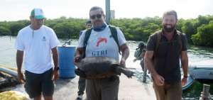 Wacho (como se lo llama) Tapia siempre sinti&oacute; empat&iacute;a por los reptiles (c), especialmente por las tortugas e iguanas. Conoci&oacute; de cerca al Solitario George.