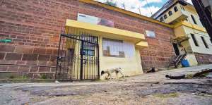 Nueve canes son los &uacute;nicos habitantes del penal; los guardias los alimentaban, ahora est&aacute;n abandonados. Foto: John Guevara / El Tel&eacute;grafo