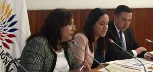 La sesi&oacute;n del Grupo Parlamentario Fronterizo fue presidida por Silvia Salgado (izq.) y cont&oacute; con la participaci&oacute;n de diversas organizaciones.