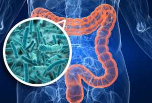 Esto es lo que debes saber para mantener una microbiota saludable.