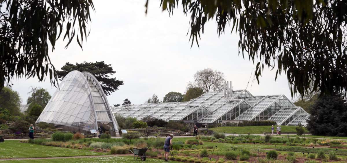 La investigaci&oacute;n de Kew Gardens cuestiona que menos del 16% de los recursos es utilizado en el &aacute;rea de salud. 