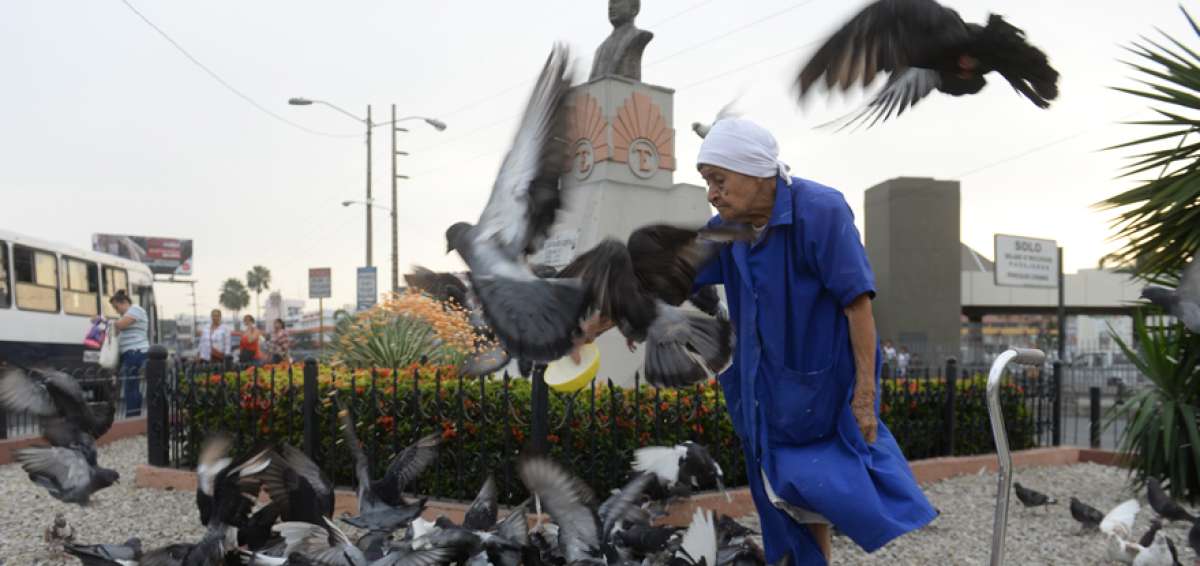 A sor Elena  la mueve el amor por los animales