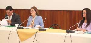 La comisi&oacute;n multipartidista tuvo su primera sesi&oacute;n.