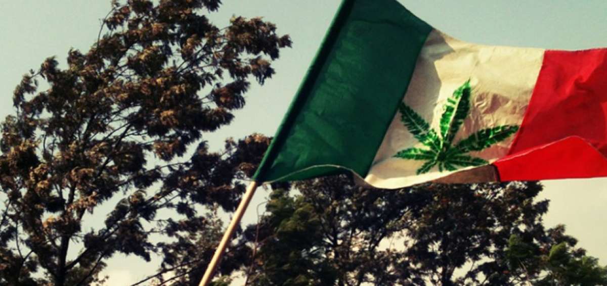 La bandera mexicana con la imagen de la marihuana ha sido un s&iacute;mbolo para los partidarios de la legalizaci&oacute;n del cannabis.