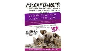Grupo de ayuda animal realizar&aacute; bazar y feria de adopciones en Guayaquil