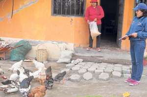 Iralda G&oacute;mez muestra a los t&eacute;cnicos del MIES, los animales que compr&oacute; con su cr&eacute;dito. Foto: Silvia Osorio│El Tel&eacute;grafo