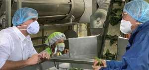 La Asociaci&oacute;n Wi&ntilde;ak, que labora la tierra en Archidona (Napo), al momento exporta cacao fino de aroma, pl&aacute;tano y guayusa a cuatro diferentes pa&iacute;ses.  