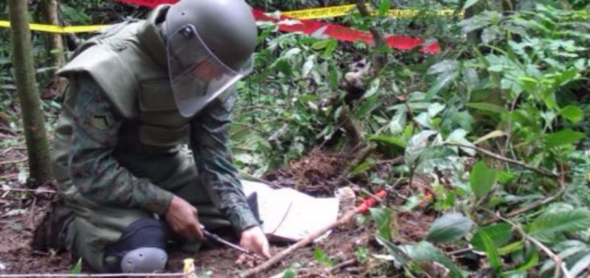 Hasta la fecha, Ecuador logr&oacute; liberar 132 &aacute;reas contaminadas, con la destrucci&oacute;n hasta diciembre de 2015 de 10.866 minas antipersonales.
