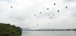 Las aguas del estero dividen el sector de las Tres Bocas y el Suburbio porte&ntilde;o. En una parte hoy se observan p&aacute;jaros y verdes &aacute;rboles de mangle. Los habitantes, que viven en las proximidades, suelen pescar en la zona.