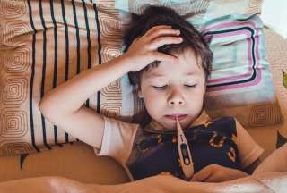 Fiebre, dolor de cabeza y congestión nasal, algunos de los síntomas del metapneumovirus.