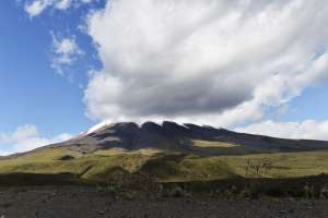 Foto: Fernando Sandoval / El Tel&eacute;grafo