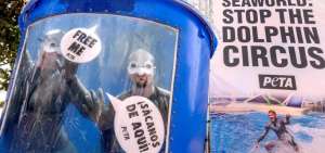 Activistas piden en Miami Beach liberaci&oacute;n de delfines de parques SeaWorld