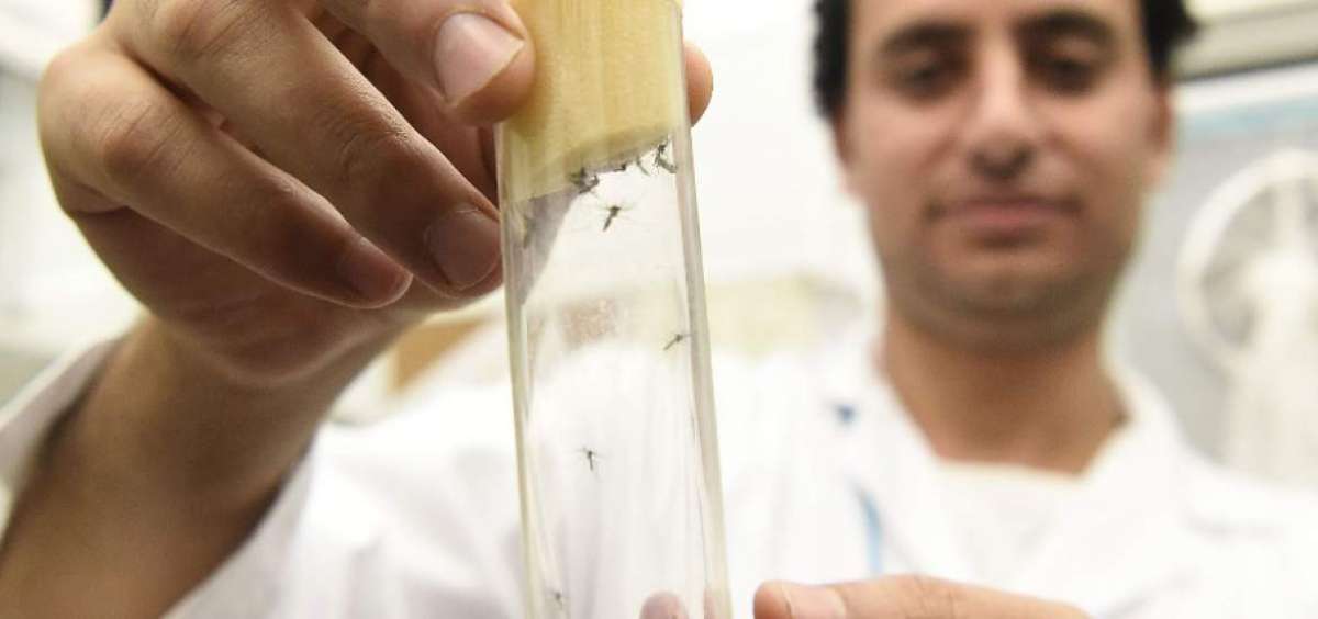 En Ecuador se confirman 53 casos de zika y 136 son sospechosos