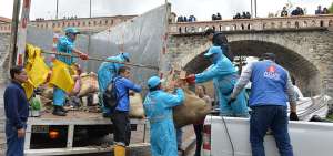 Trabajadores de la Empresa de Limpieza de Cuenca EMAC ayudaron en el desalojo de los materiales sacados de los r&iacute;os de la capital azuaya.