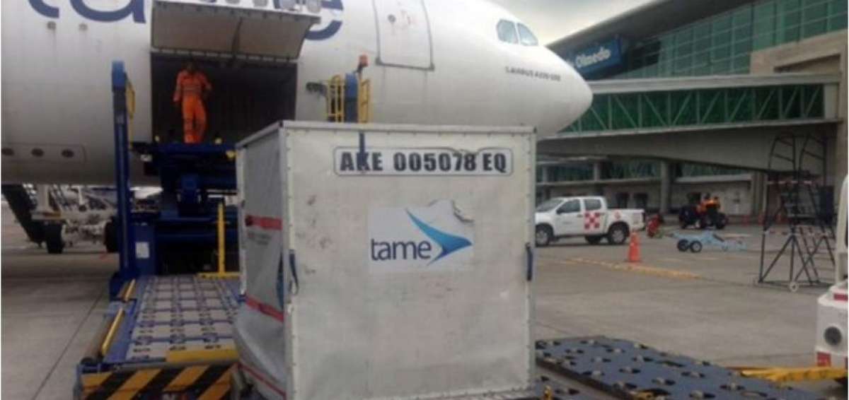 Vuelos de TAME traen donaciones internacionales para damnificados