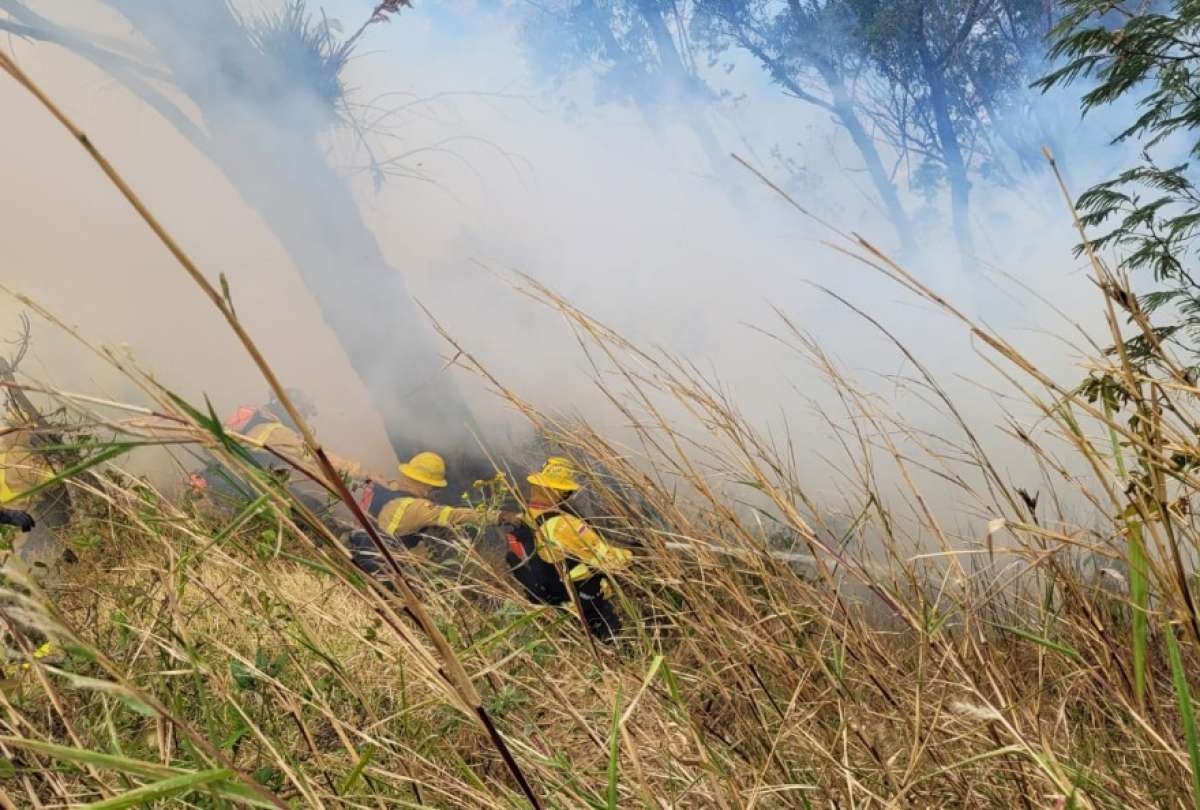 Los efectivos del Cuerpo de Bomberos realizan trabajos de extinción del fuego en sectores como San Francisco de Miravalle Alto. ¡Ojo! Sí existen sanciones por provocar incendios forestales.