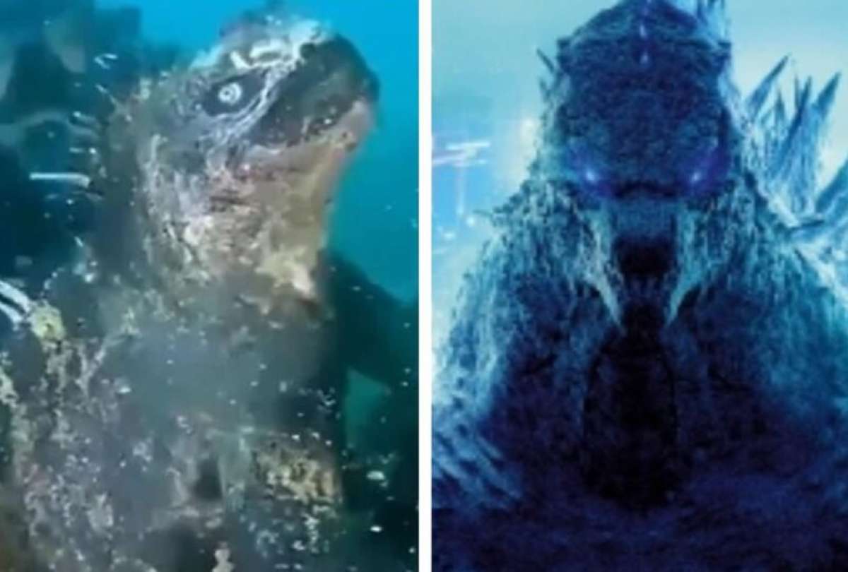 Godzilla s&iacute; existe en las islas Gal&aacute;pagos