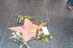 Cada a&ntilde;o Hollywood Boulevard revive para recibir a las estrellas