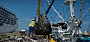 El 70% de las industrias se instala en Manta, considerada la &ldquo;capital del at&uacute;n&rdquo;.  250.000 toneladas provienen de las capturas de la flota nacional.    