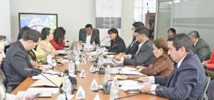 La Comisi&oacute;n sesion&oacute; este mi&eacute;rcoles, 14 de noviembre. 