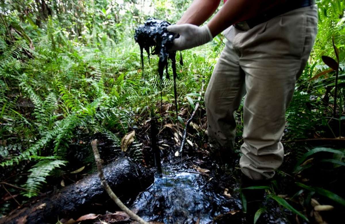 Chevron seguir&aacute; pagando sueldo y protegiendo a testigo estrella