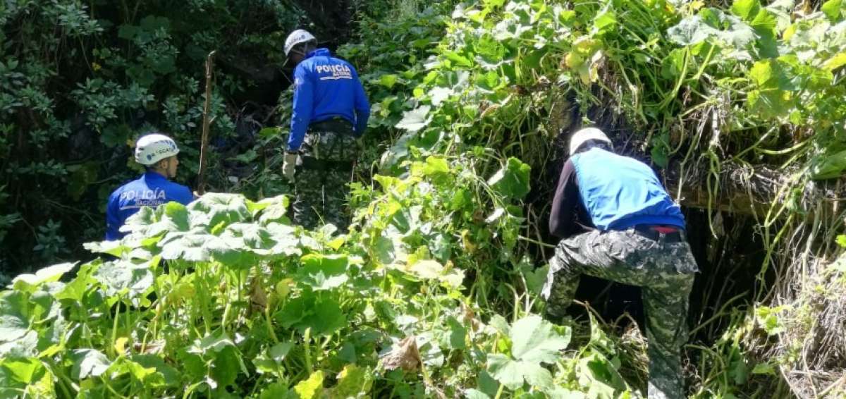 Restos &oacute;seos hallados corresponden a ciudadana cubana desaparecida en 2016