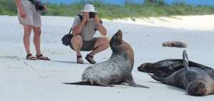 Gal&aacute;pagos registr&oacute; un incremento de visitas del 4% en el 2015