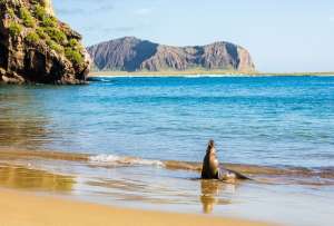 Parque Nacional Galápagos cierra temporalmente sitios turísticos por alerta de tsunami