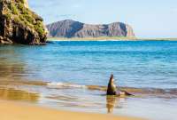 Parque Nacional Galápagos cierra temporalmente sitios turísticos por alerta de tsunami