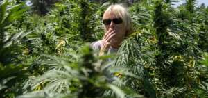 Ministro mexicano propone legalizar marihuana en zonas tur&iacute;sticas