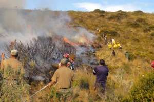 Hace un a&ntilde;o, grupos de diversas instituciones se unieron para combatir los incendios forestales en la zona del Parque Nacional Cotopaxi. Foto: Silvia Osorio.