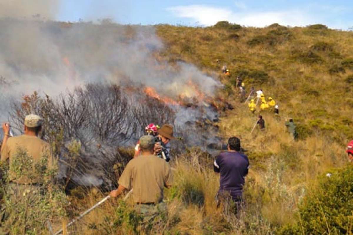 Hace un a&ntilde;o, grupos de diversas instituciones se unieron para combatir los incendios forestales en la zona del Parque Nacional Cotopaxi. Foto: Silvia Osorio.