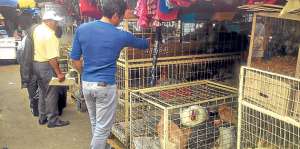 En el mercado de El Arenal no solo se venden perritos, tambi&eacute;n aves de corral para ser sacrificados. Fotos: Fernando Machado / El Tel&eacute;grafo