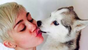 Miley Cyrus llora a su Floyd en Twitter