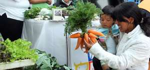 4,8 millones de ni&ntilde;os de la regi&oacute;n est&aacute;n mal alimentados