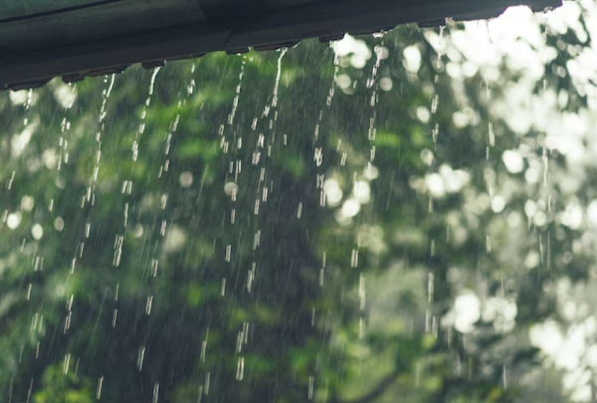 Este es el pronóstico del clima hasta el lunes 16 de diciembre de 2024.