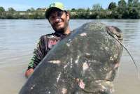 Capturan a un extraño pez siluro en un río italiano