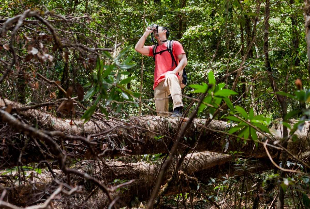 En Lago Agrio, el Parque Perla ofrece un recorrido que simula una escena de la  película Avatar.